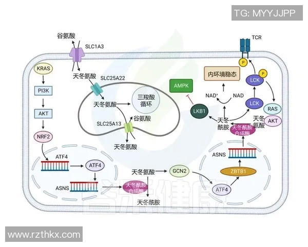 水星与狂热的历史数据对比分析揭示的深层联系与启示