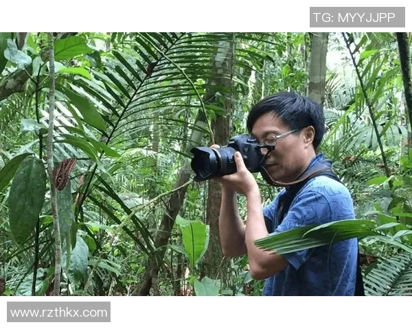 张宁的奋斗历程与成就探索：从普通学子到行业领军人物的成长故事